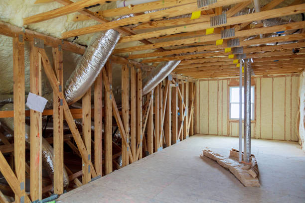 Best Affordable Insulation Services  in Cedar Falls, IA