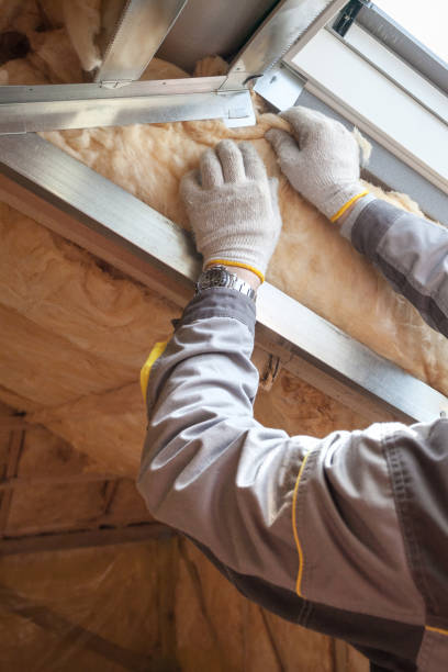 Best Garage Insulation Installation  in Cedar Falls, IA