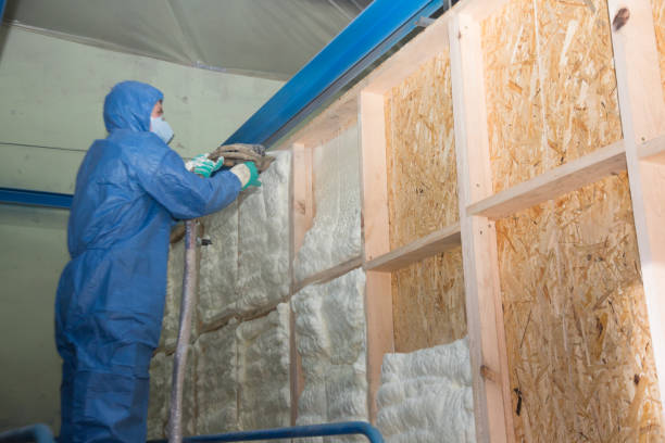Insulation Contractors for Homes in Cedar Falls, IA