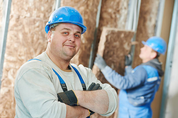 Best Insulation Replacement Services  in Cedar Falls, IA
